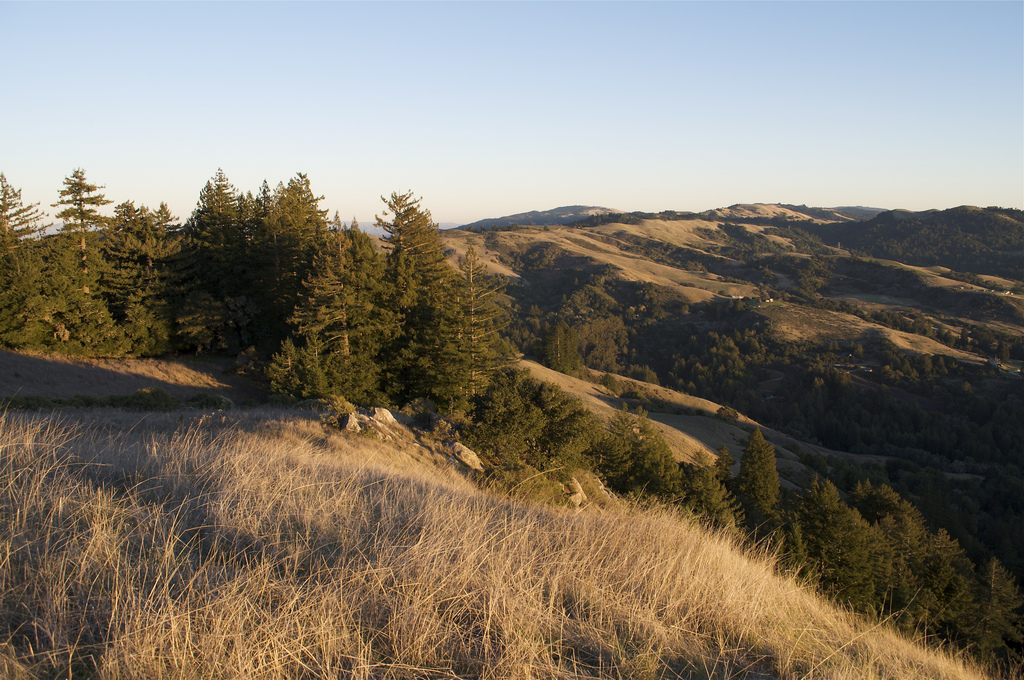 La honda creek open space reserve #4