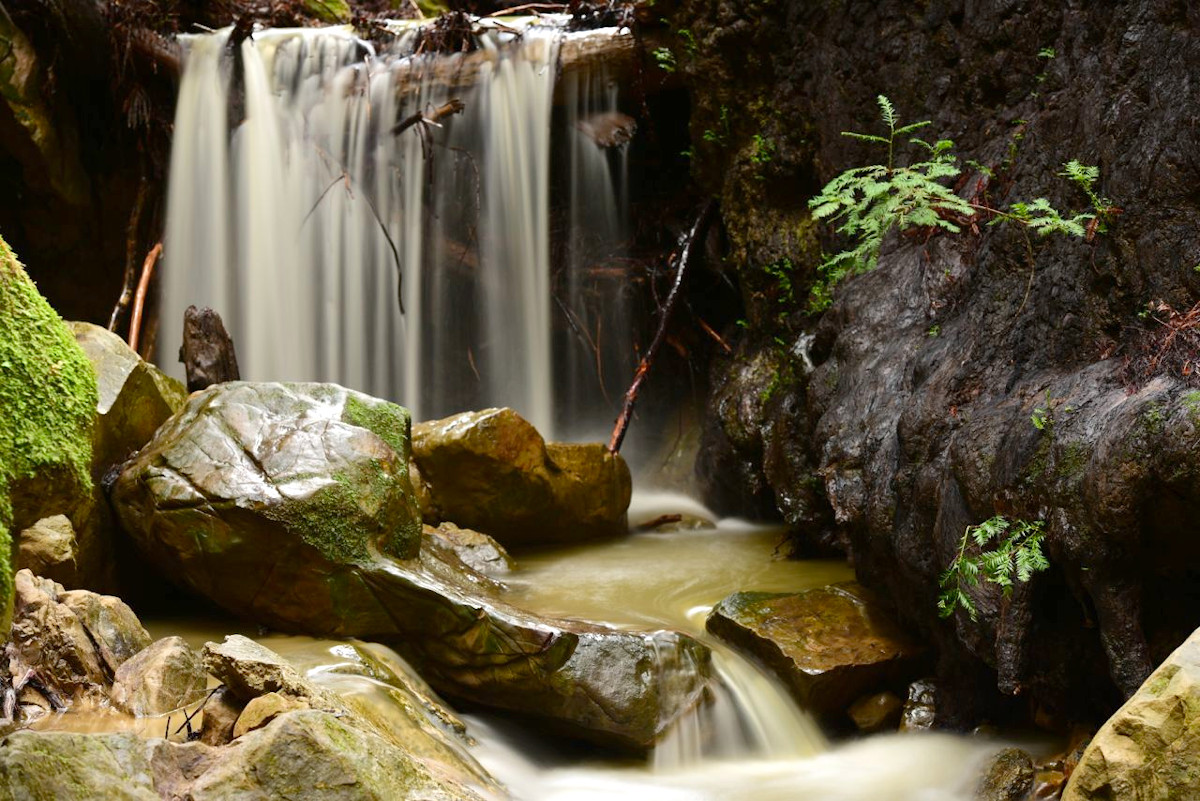 Waterfall on Dennis Martin Creek, Thornewood Preserve, by David Henry