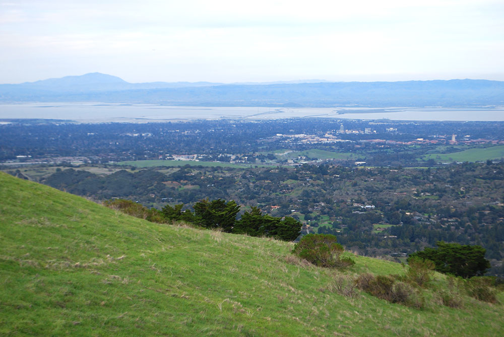 Windy Hill Preserve Preserves