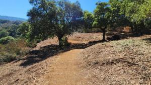 A segment of the Chamise trail after vegetation clearing to create a shaded fuel break