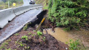 Storm damaged culvert