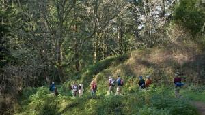 Hikers on the Whittemore Trail in Purisima Creek Redwoods