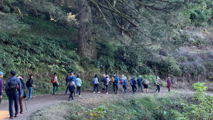 Hikers in Purisima Creek Redwoods
