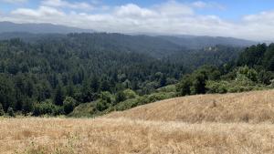 Landscape photo taken from newly purchased property near town of La Honda in 2025