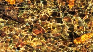 Closeup of rocks under rippling water