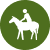 Equestrian: All Trails