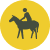 Equestrian: Designated Trails