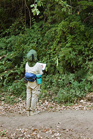 Sudden Oak Death Blitz