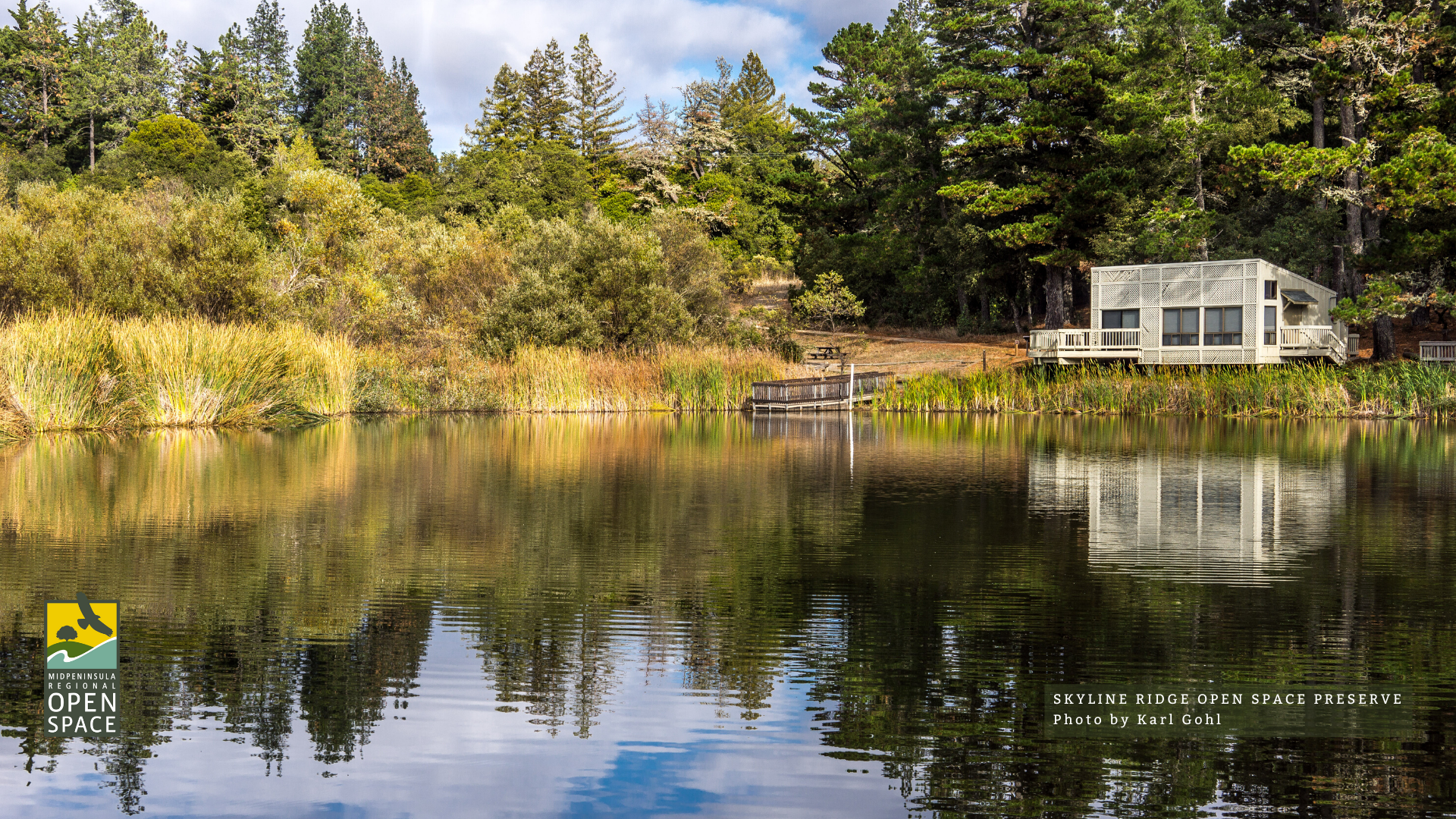 Alpine Pond at Skyline Ridge Preserve