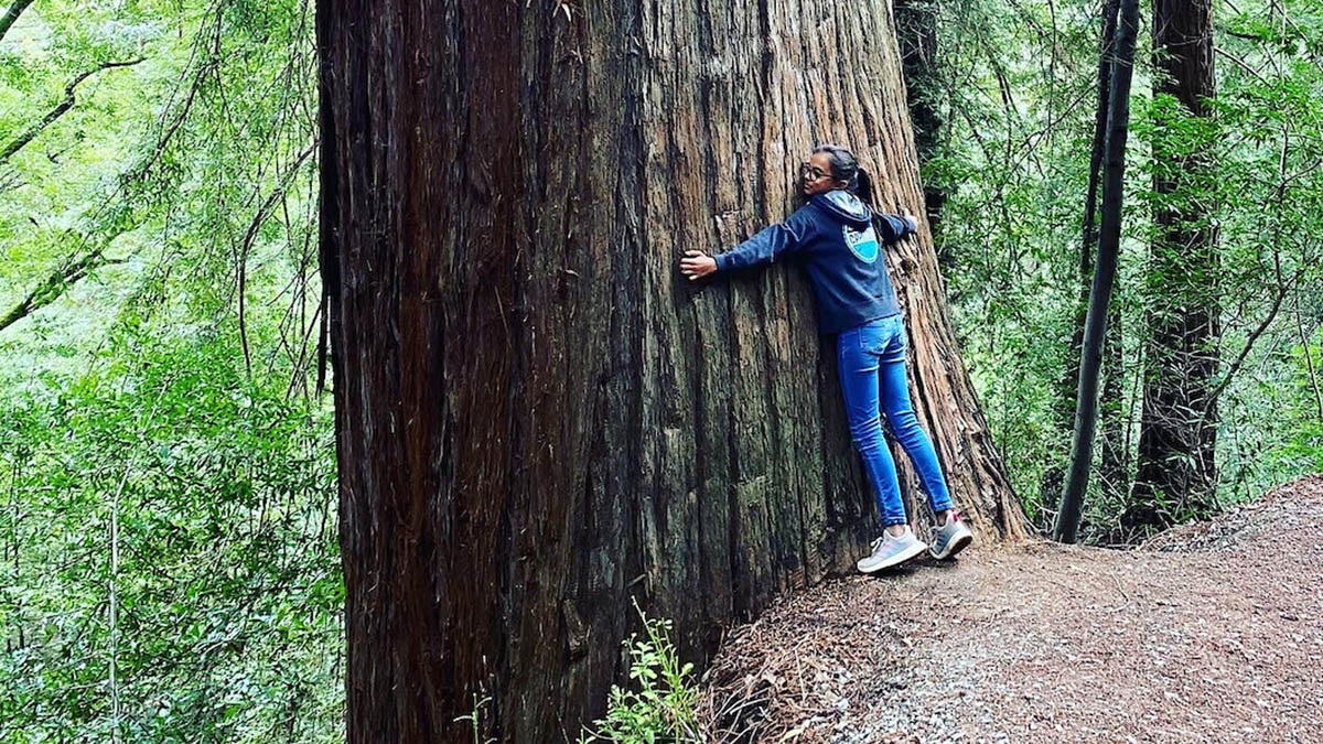 Bear Creek Redwoods Preserve, by Rachel Pandipati.