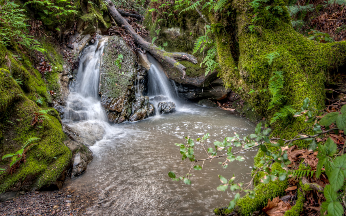 Crazy Pete's Waterfall, Coal Creek Preserve, by Dean Birinyi