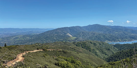 a view of hills and Lexingon Reservoir as seen from El Sereno Preserve