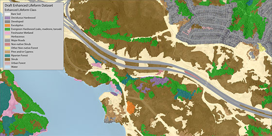 vegetation map