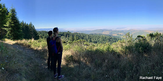 hikers looking out onto the Pacific Ocean from the trail