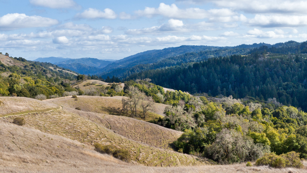 Looking south into Stevens Creek Canyon at Monte Bello Preserve. Photo by Karl Gohl