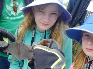 Kids observe a bat wing membrane.