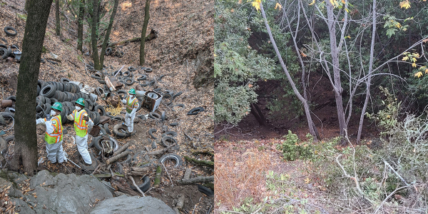 workers in protective gear on a hillside covered with tires - the same hillside after cleanup