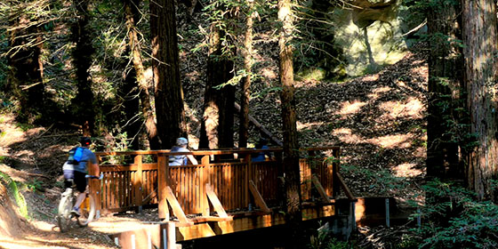 A new bridge along Oljon Trail. © Charlie Krenz