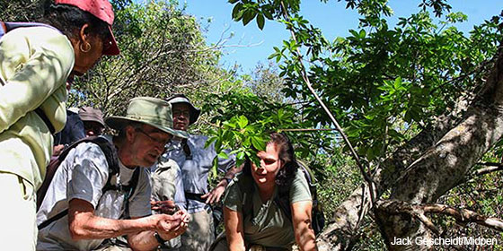 docent sharing information about plants with Midpen visitors