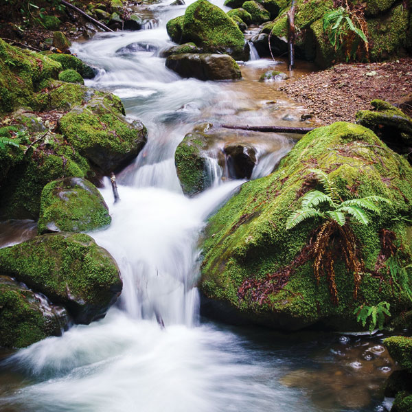 waterfall and creek