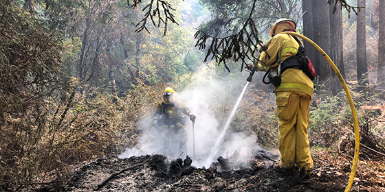 firefighter spraying water on a fire