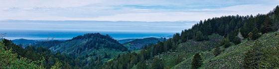 Purisima Creek Redwoods Open Space Preserve © Karl Pfalzer