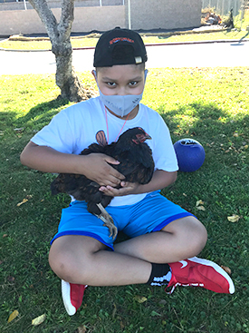 boy holding a chicken