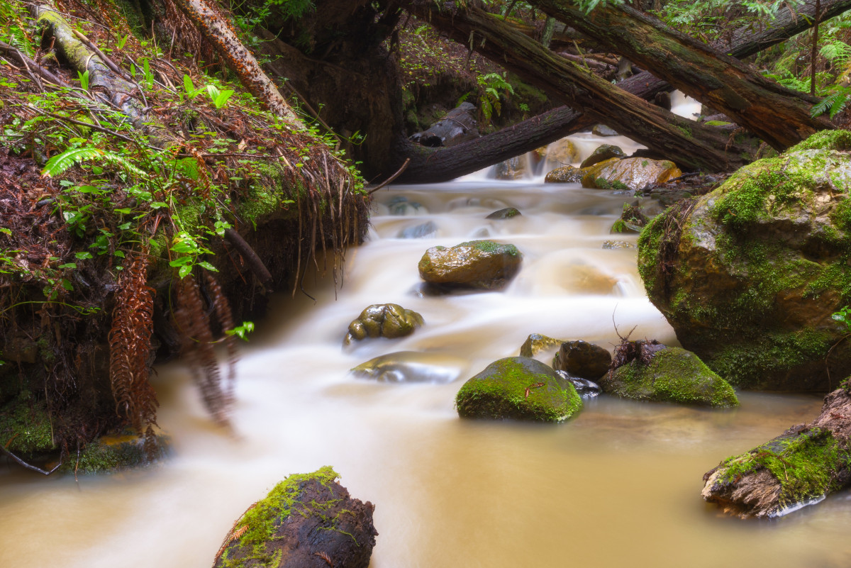 Purisima Creek, Purisima Creek Preserve, by Jawed Karim