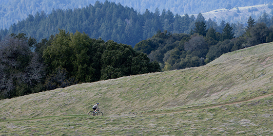 Bicyclist at Long Ridge. © Gary Marcos