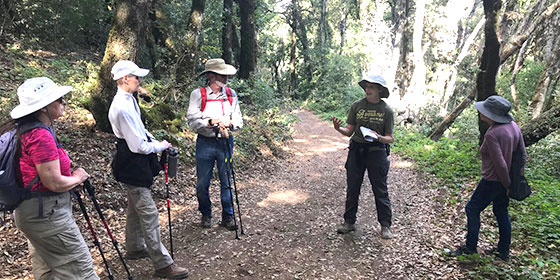 Midpen docent leading a hike. © Kim Borick