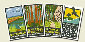 image of postcards