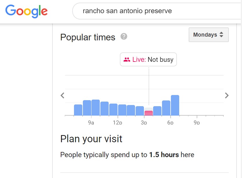 Google search screenshot of popular preserve times.