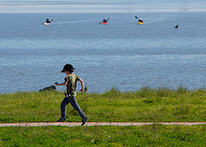 San Francisco Bay Trail © Frances Freyburg