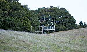 Fog catcher in Skyline Ridge OSP © Grant Kern