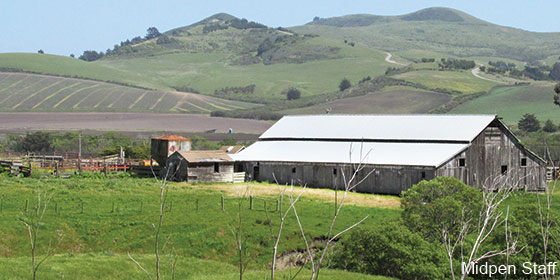 Gordon Ridge at Tunitas Creek Open Space Preserve