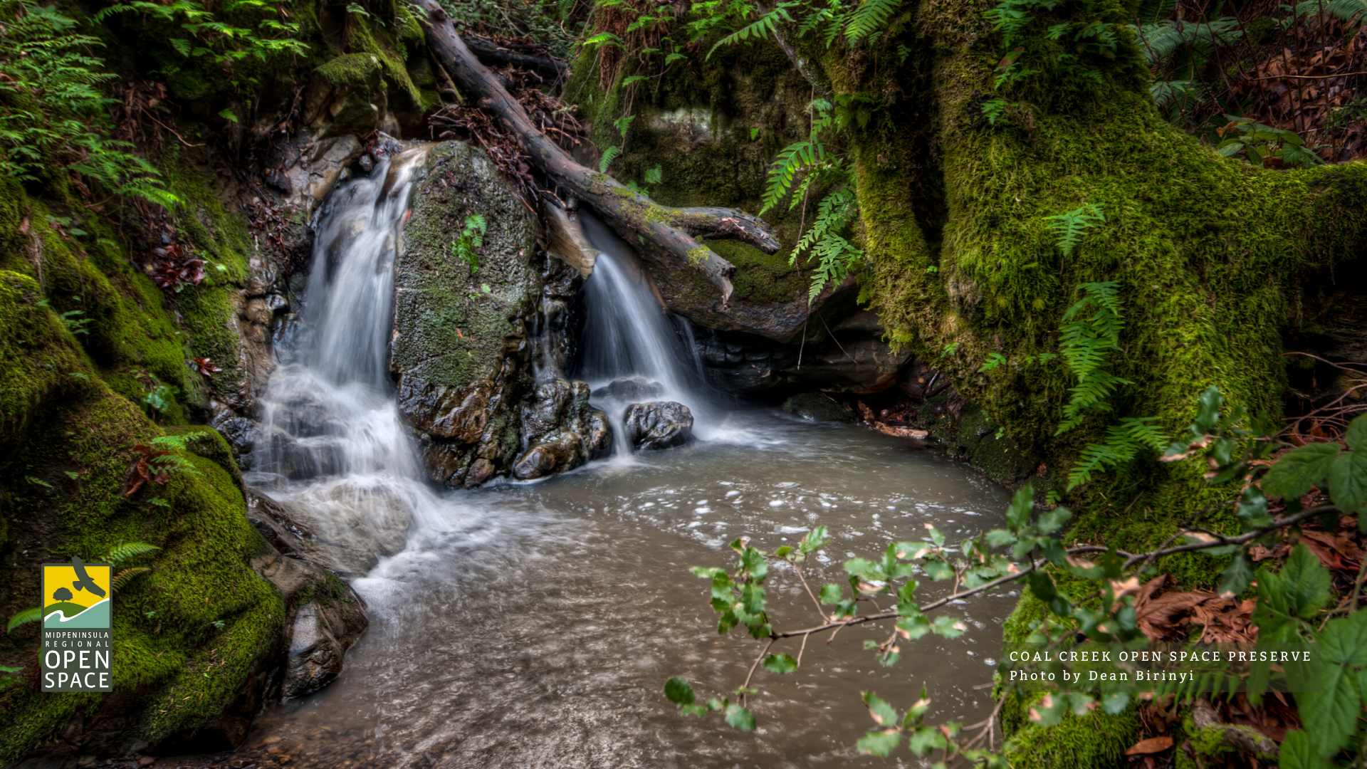 Waterfall at Coal Creek Preserve