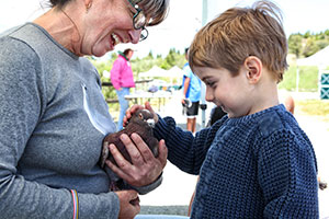 Meet feathered friends at Wingding