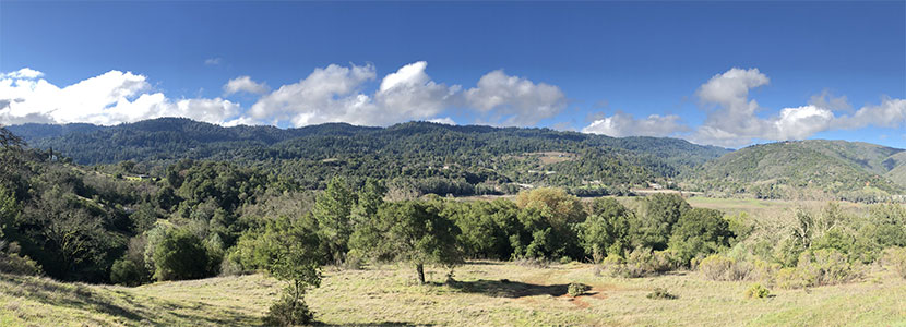 landscape of hills and mixed forest