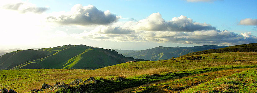 The Bay Area Ridge Trail at Russian Ridge OSP ©Deane Little
