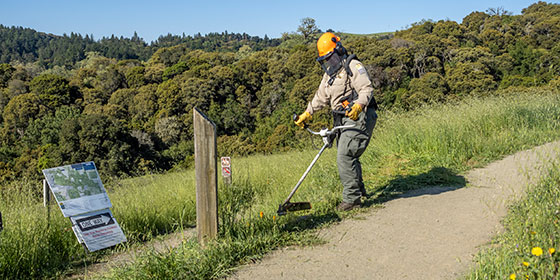 fire brushing along a trail