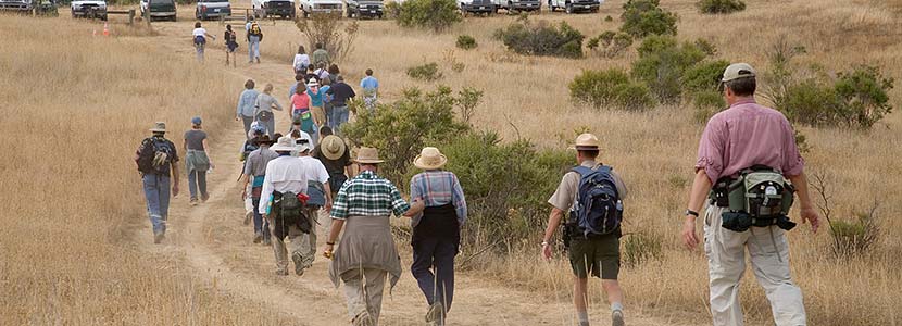Large Group/Event Permit Info | Midpeninsula Regional Open Space District