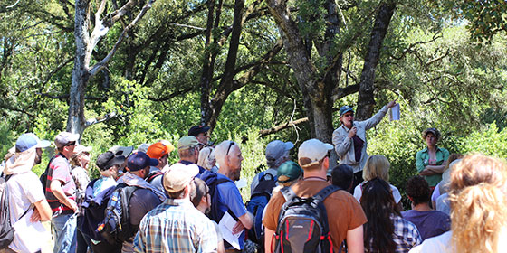 SOD Science Symposium at Los Trancos