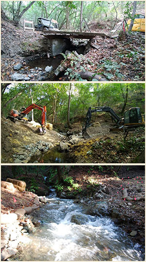 Creek restoration: before, during and after