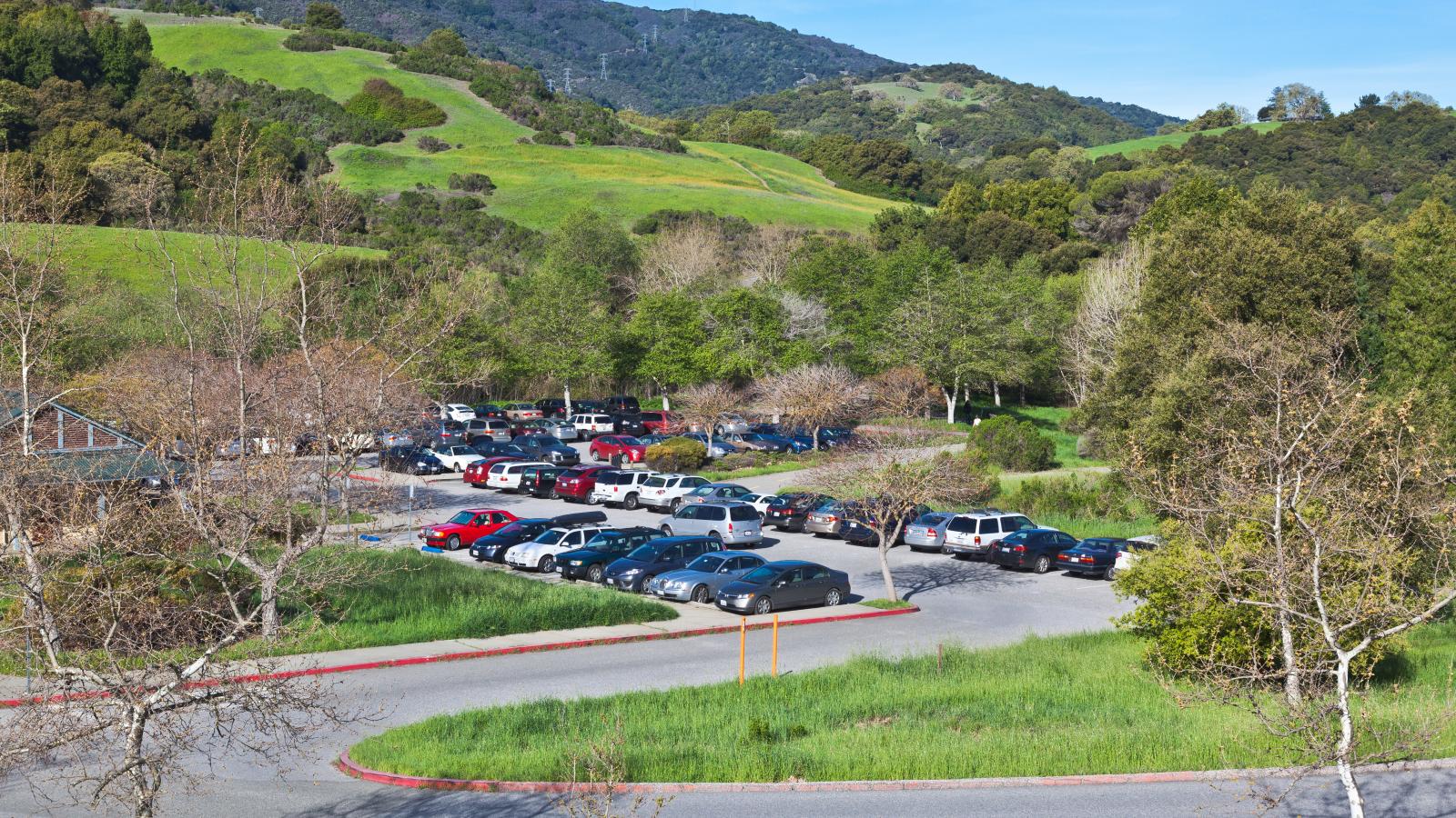 cars in a parking lot