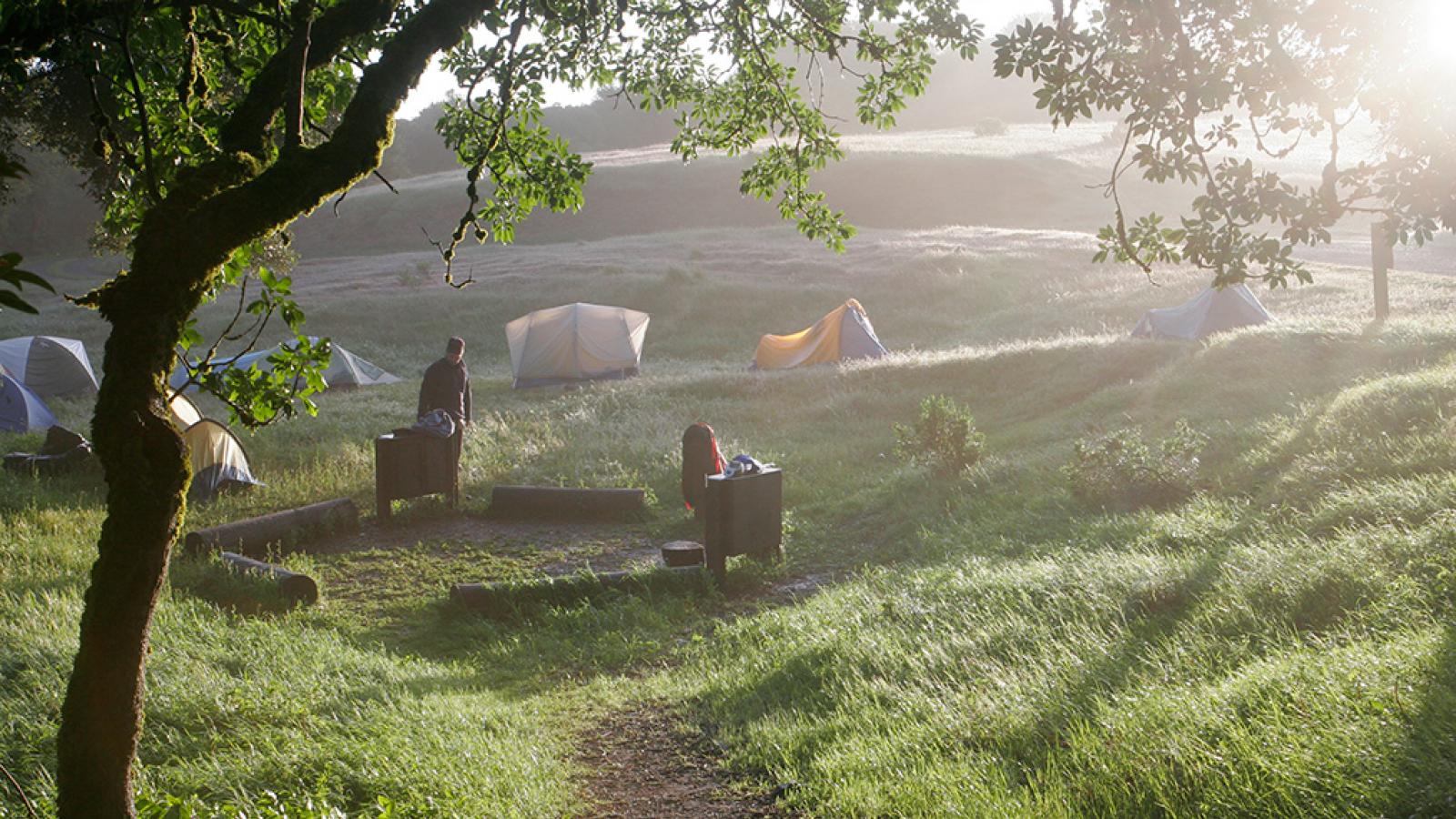 Troop 14 Palo Alto At Black Mountain Backpack Camp