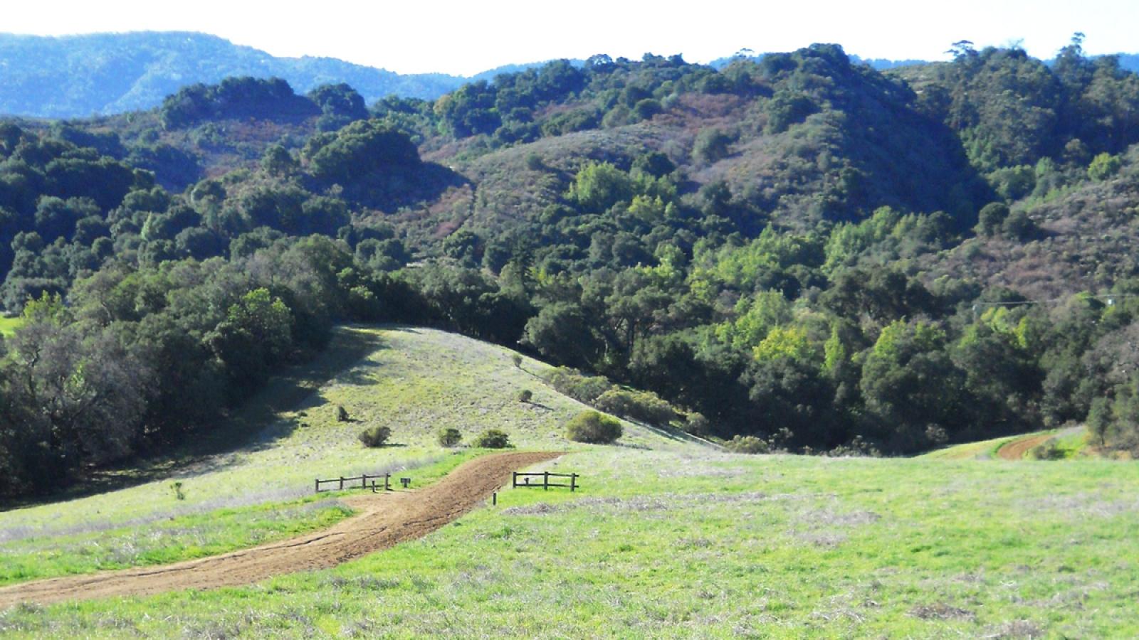 Fremont Older Preserve | Midpeninsula Regional Open Space District