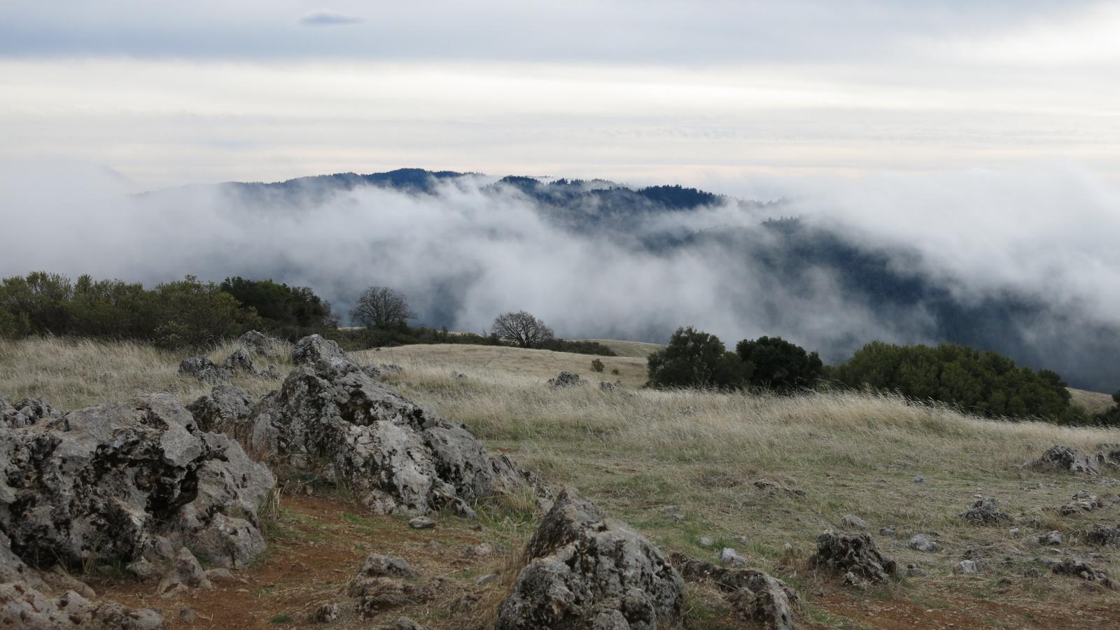 Monte Bello Preserve  Midpeninsula Regional Open Space District