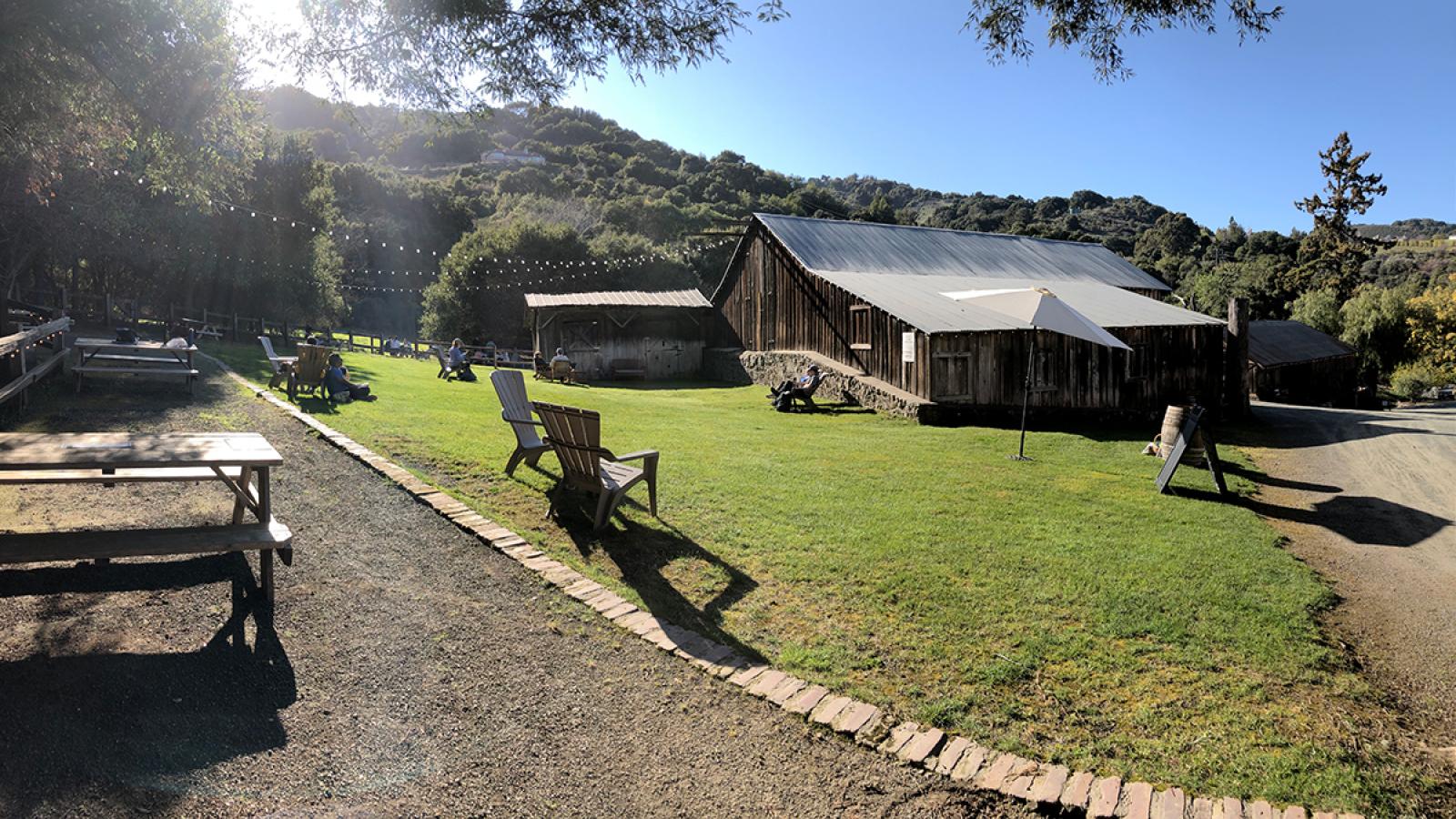 picnic tables along a grassy lawn