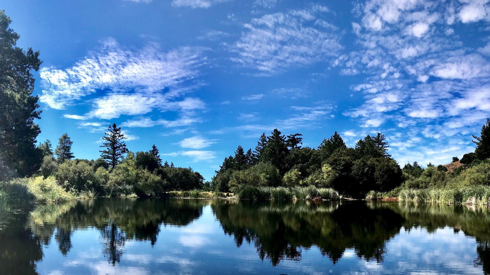 Horseshoe Lake at Skyline Ridge Preserve