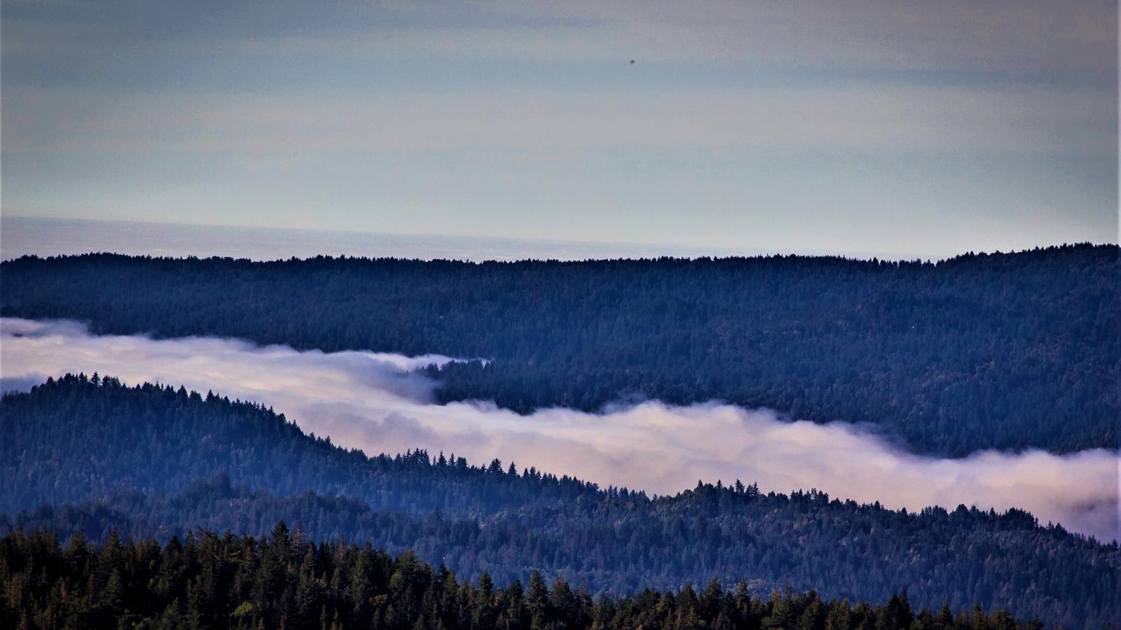 Fog in Saratoga Gap